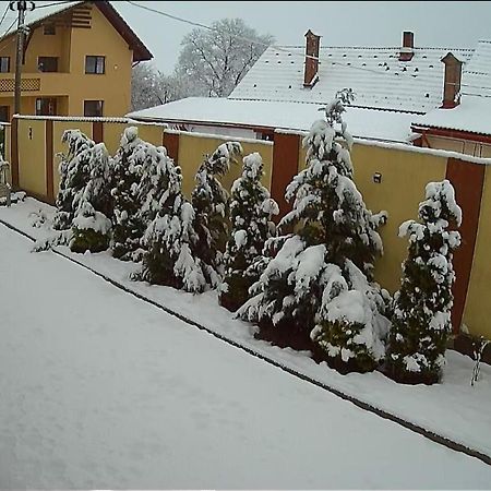 Izabella Guest House Săcele Exterior foto
