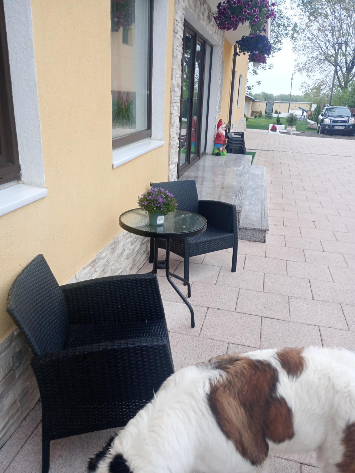 Izabella Guest House Săcele Exterior foto